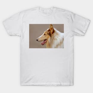 Collie Portrait T-Shirt